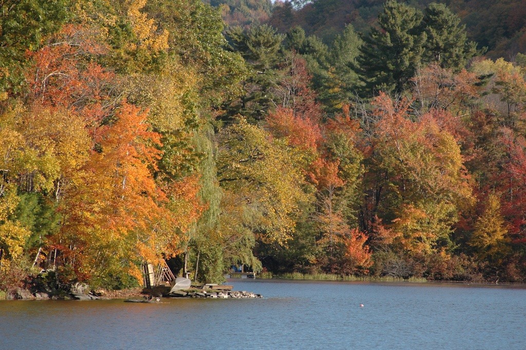 Vermont in the Fall