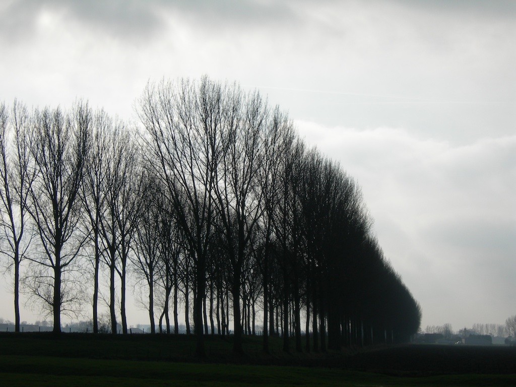 Winterwandeling in de polders