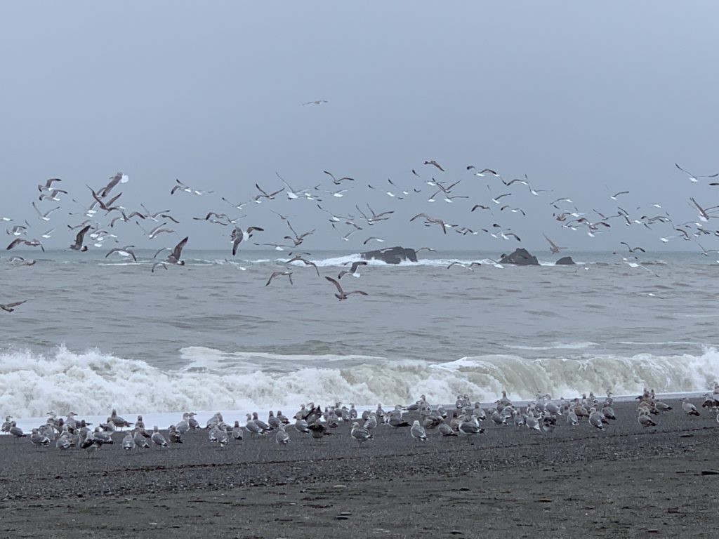 Wet and Wild