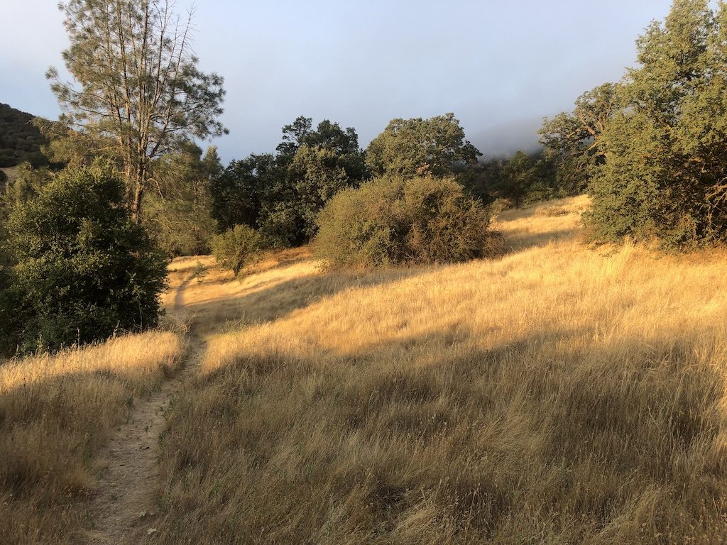Very Hot Pinnacles National Park
